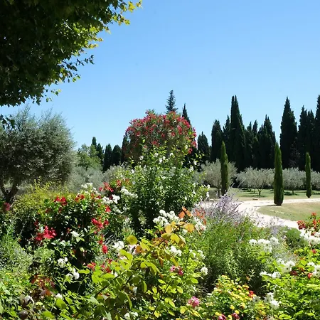 Provencal With Heated Pool Located To De Provence, 12 People Villa Salon-de-Provence
