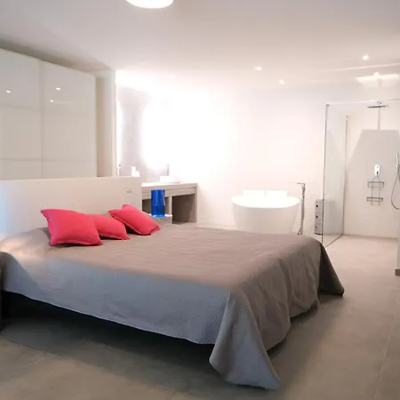 Provencal With Heated Pool Located To De Provence, 12 People Villa Salon-de-Provence