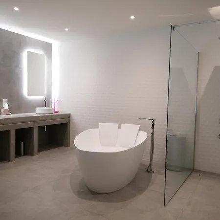 Provencal With Heated Pool Located To De Provence, 12 People * Salon-de-Provence